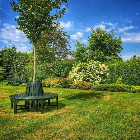 De Zolder Bed & Breakfast