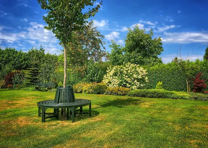 De Zolder Bed & Breakfast