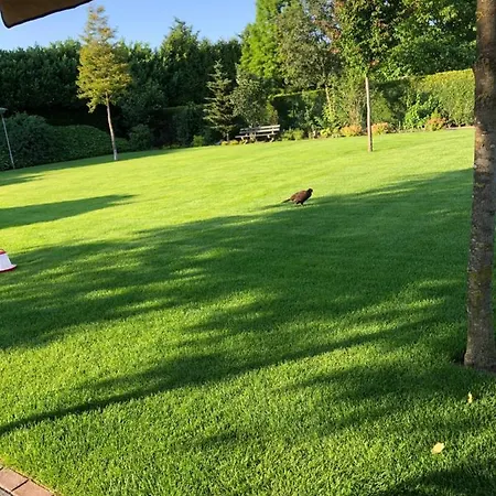 Bed & Breakfast De Zolder Meterik